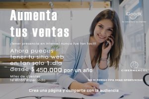 Plan Web $450 Pyme Básica