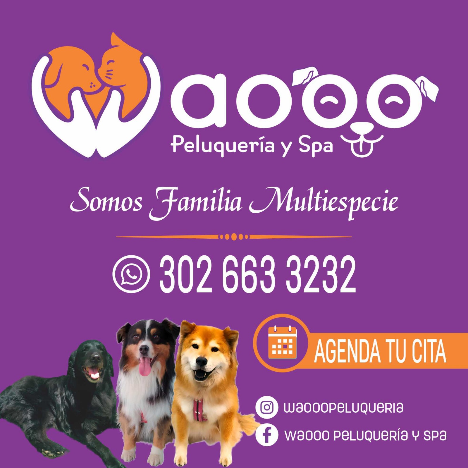 Waooo Peluquería y Spa (2)