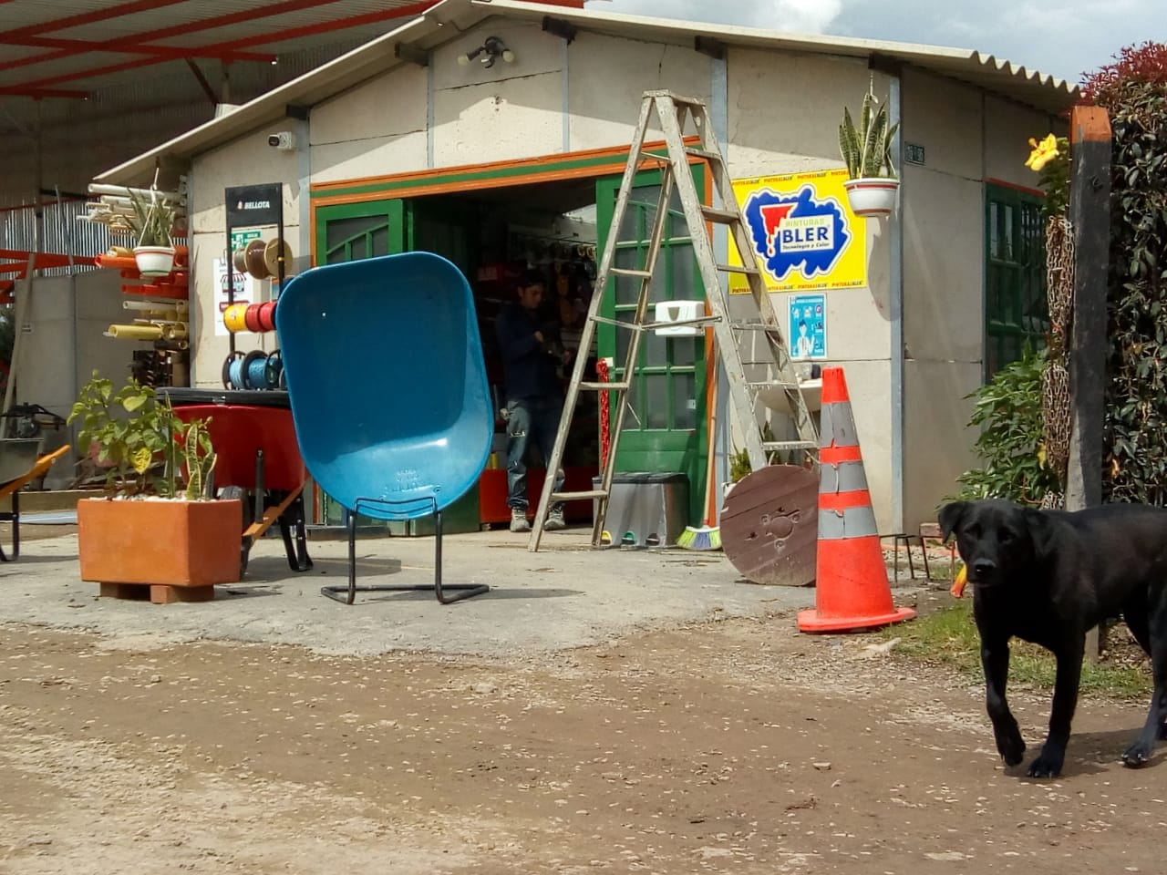 Eléctricos konexo (01)