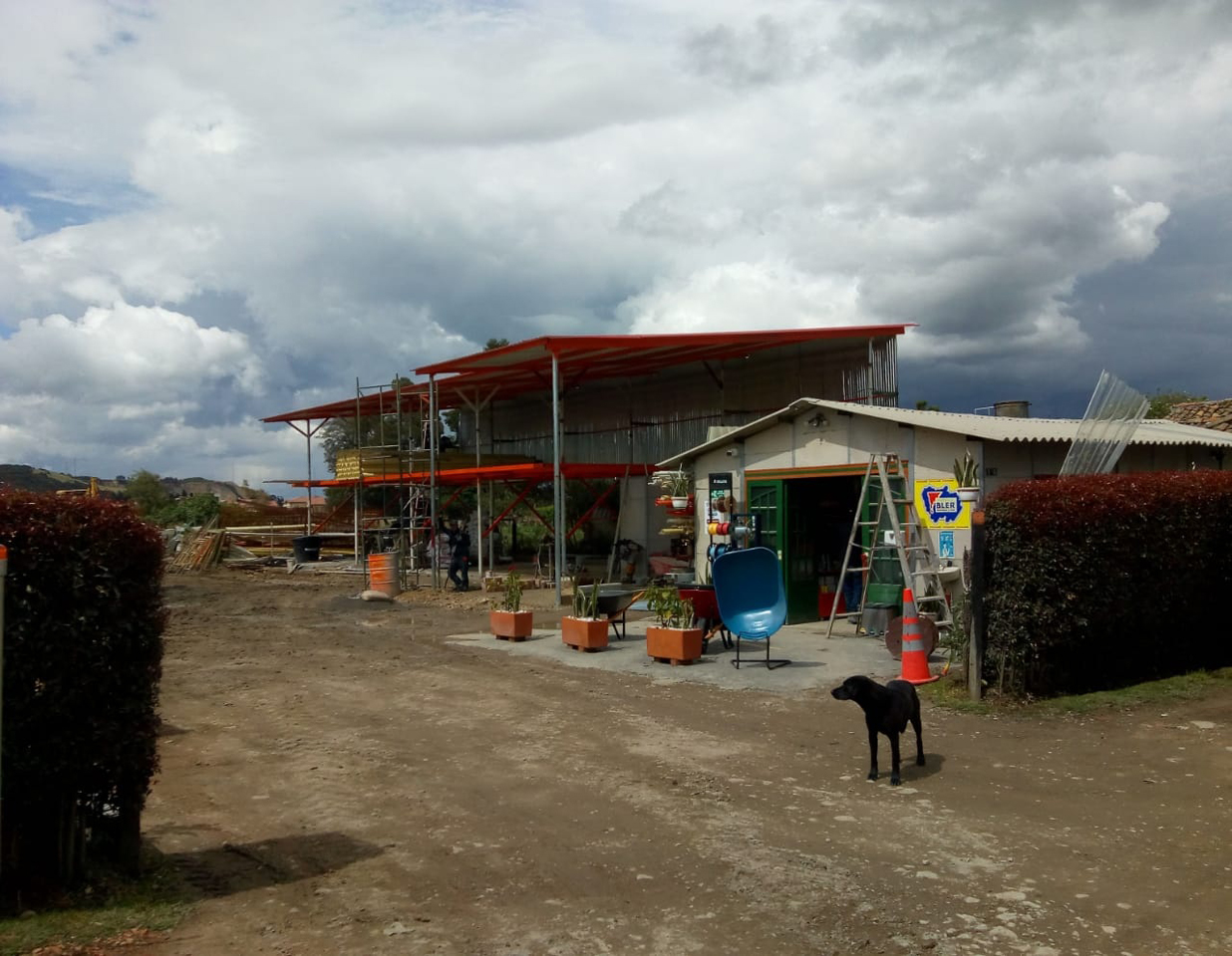 Eléctricos konexo (02)