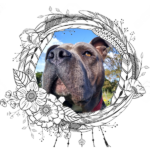 HistoriaGris-150x150