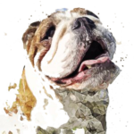 Pincho-0x300-copia-150x150