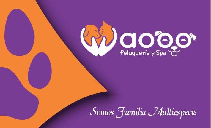 Waooo-Peluqueria-y-Spa-1