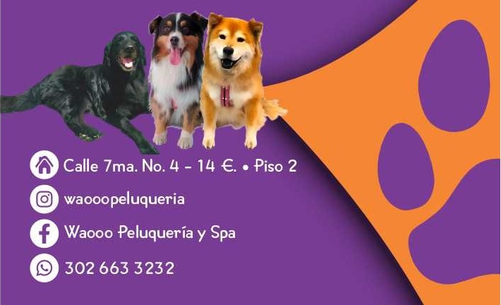Waooo-Peluqueria-y-Spa2-1