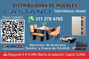 Acarreos y distribuciones CASTAÑO