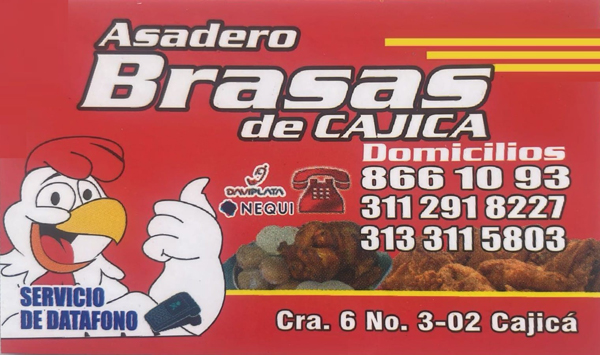 brasas-log