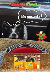 Megadog & Megacat 12 (3)