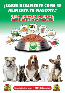 Megadog & Megacat 12 (5)