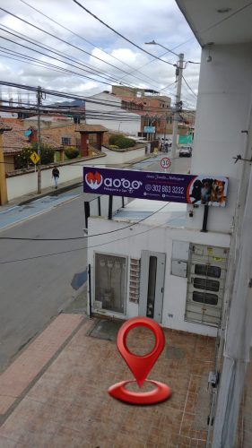 Waooo-Peluqueria-y-Spa-19